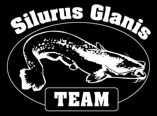 Silurus Glanis